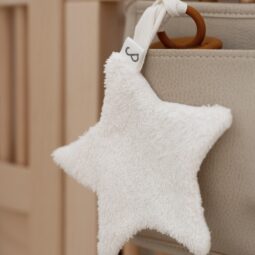 Baby Speendoekje Ster Badstof Velours Ecru - Ivy and Soof